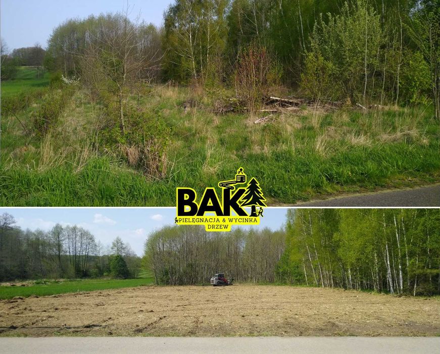 Oczyszczanie terenów i prace przy drzewach – Grodzisk Mazowiecki