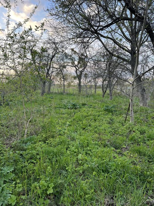 Продаж будинку у Верасах