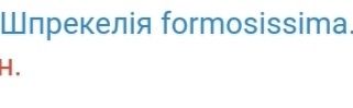 Продам цибулини гарного вазона