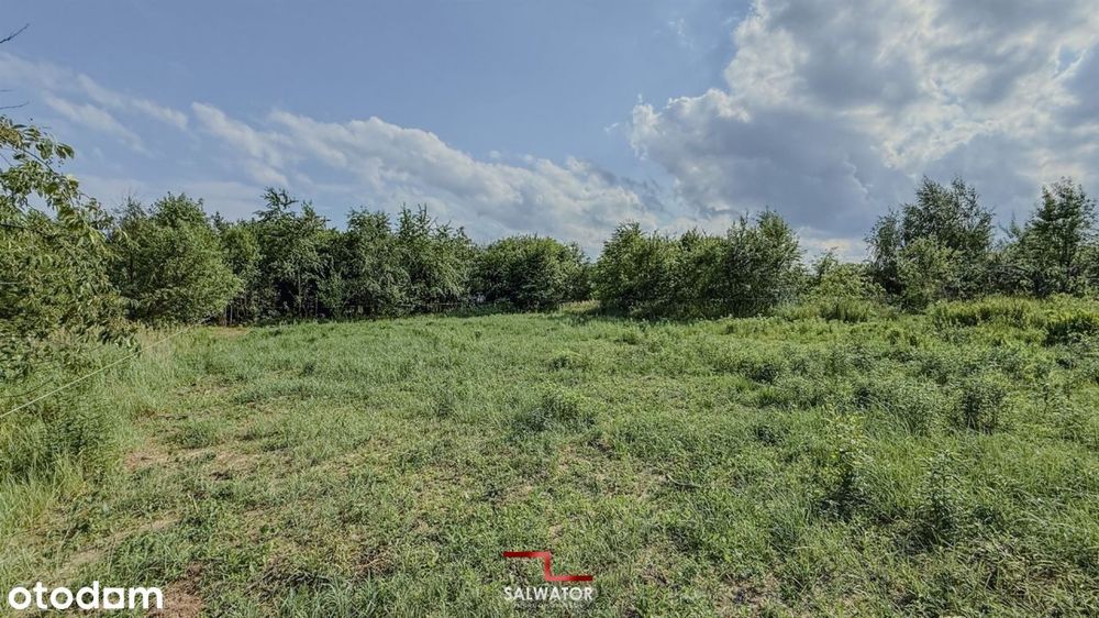 Działka 24,5 ar Żbik Krzeszowice