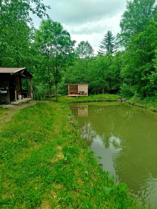 Ловля Форелі с.Микуличин, рибалка