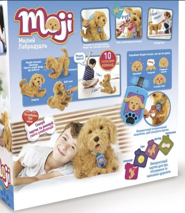 Лабрадудль Моджі, як справжній