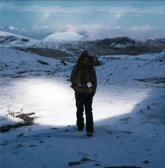 Для прогулянок з тваринною на свіжому повітрі в темряві