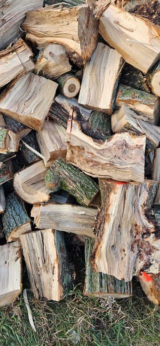 Drewno kominkowe opałowe Wiąz