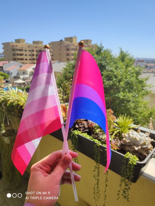 Bandeirinhas LGBT várias