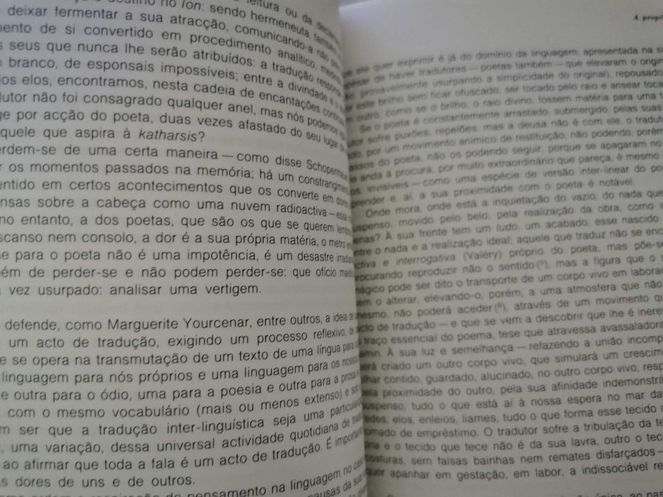 ICALP Revista - Instituto de Cultura e Língua Portuguesa - N. 11