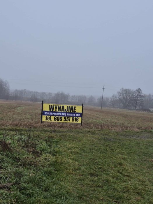Wynajmę parking, garaż, hale, magazyn