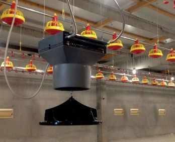 Обігрів для птахоферми, опалення для пташників