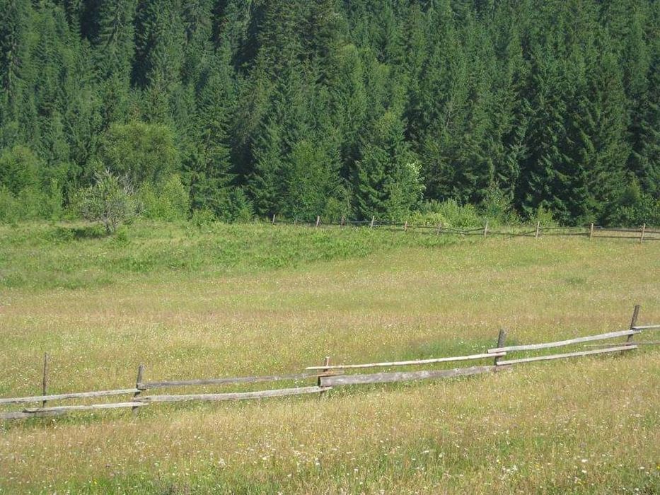 Земельна ділянка в Карпатах. Верховинський р-н.  с. Верхній