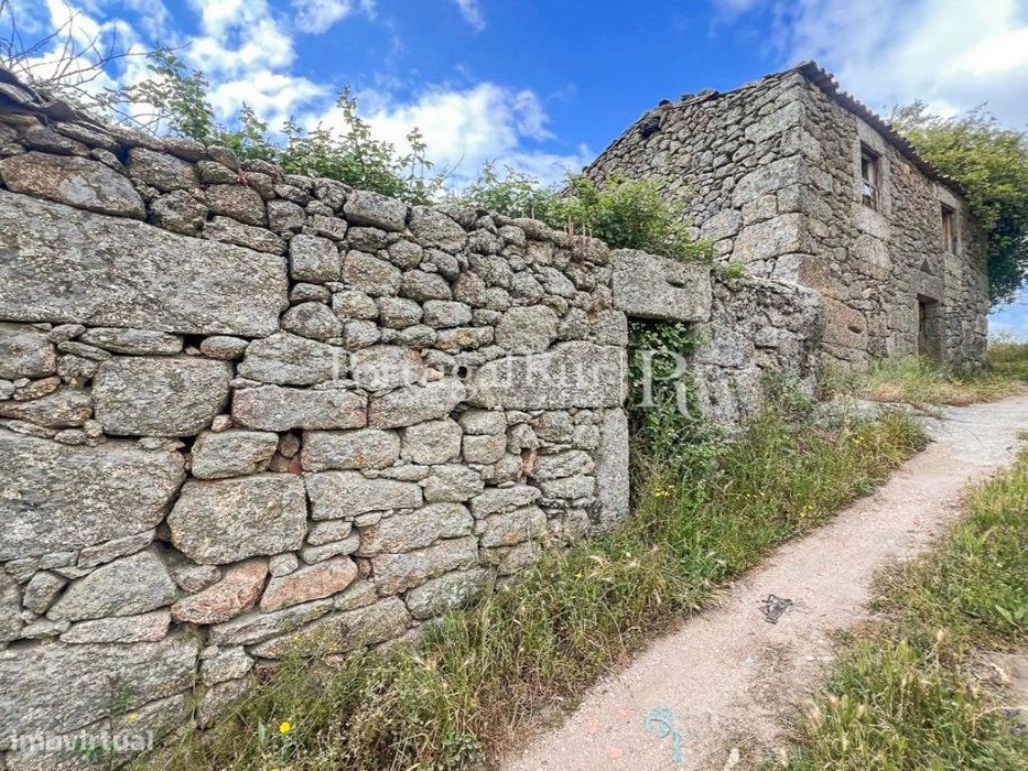 Quintinha com 2 hectares — Belmonte E Colmeal Da Torre, Castelo Branco