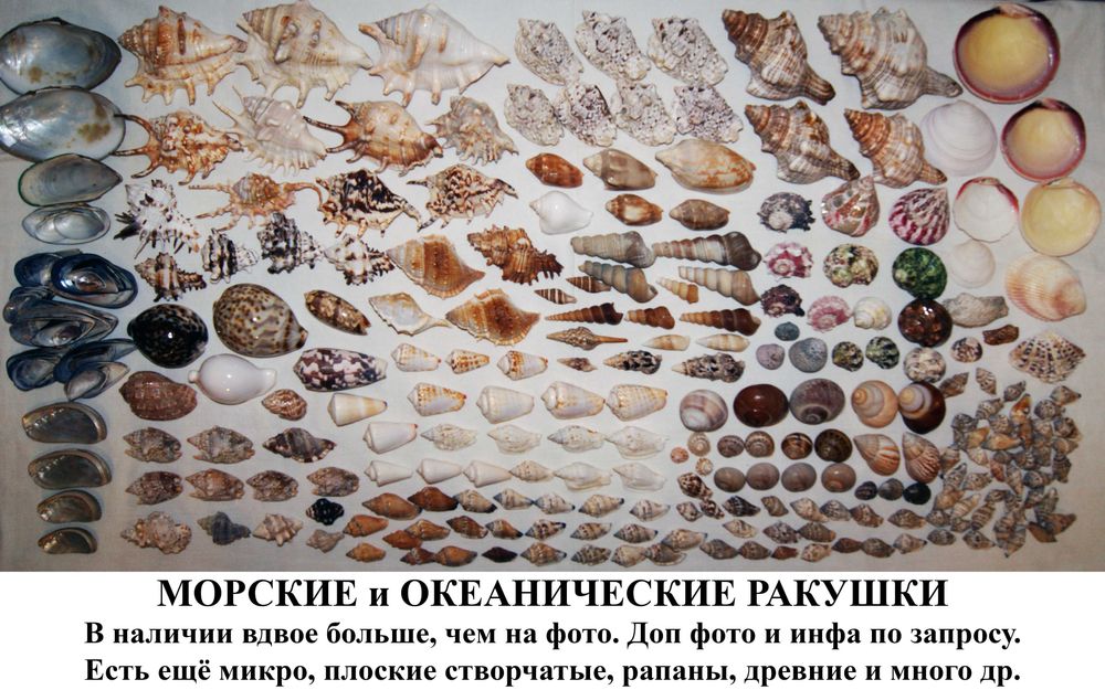 Удилище Сагиттариус 1004-500 Удочка телескопическая 5 метров 400 грамм