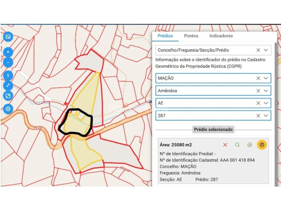 Terreno com Pinhal e Olival c/ poço - Pontão, Mação