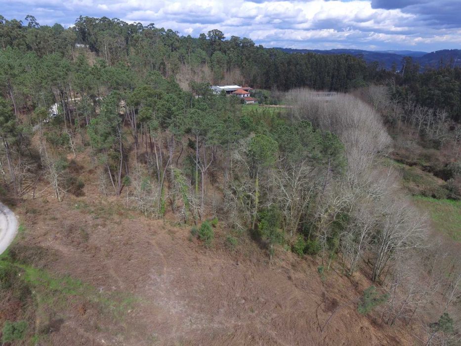 Vende-se Quinta com 7 hectares com localização privilegiada.