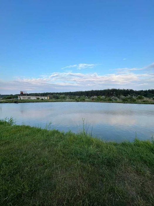Продаж рибного господарства 504га в с. Куцеволівка