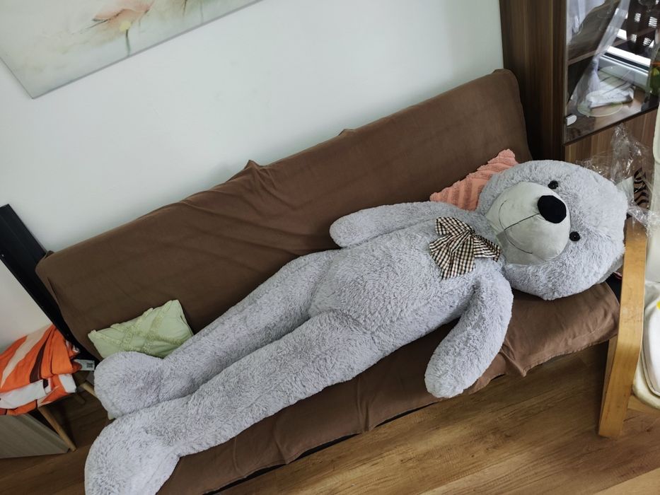 Miś Gustaw 190vm