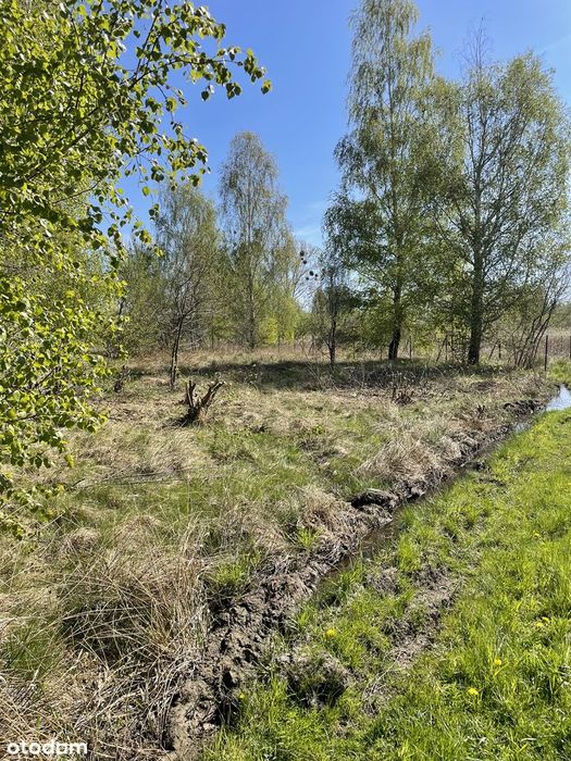 Działka nad jeziorem Tomaszne