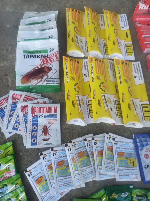 Від тараканів і мурах .