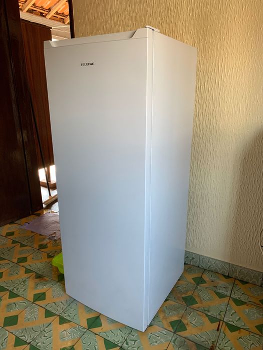 Freezer vertical