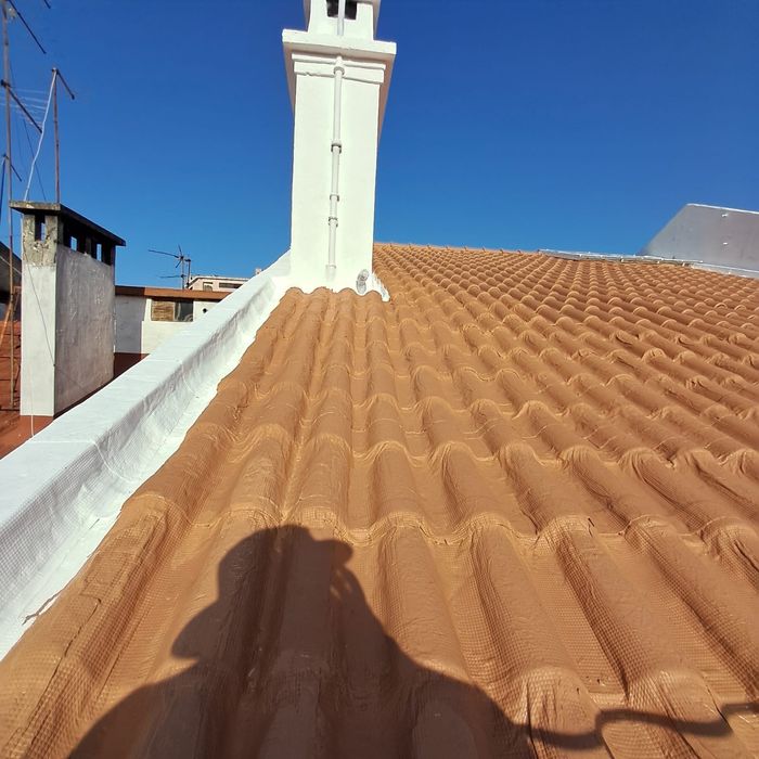 Reparacao substibuicao telhados pintor