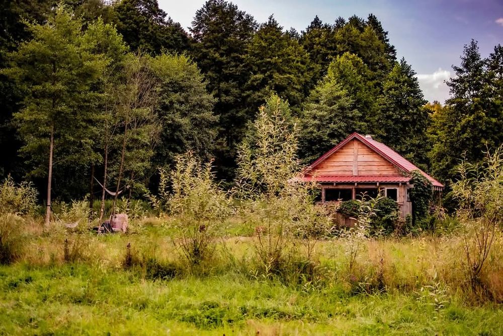 Sowia  Chatka,  domek w naturze, domek w lesie,  wzgórza dylewskie