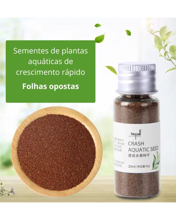 Sementes para aquario