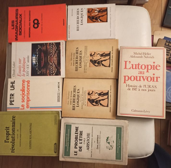 Filozofia,  historia społeczna w j. francuskim