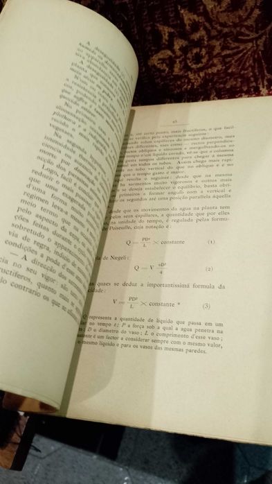 As Podas em Viticultura 1904 Tavares da Silva