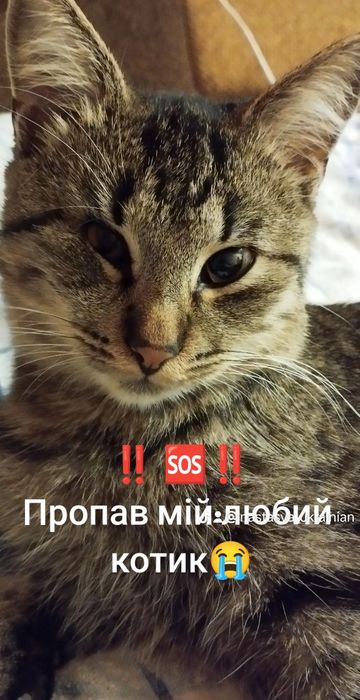 !Терміново! Пропав друг $ВИНАГОРОДА$