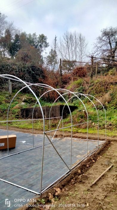 Estufa, hortaliças, plantas