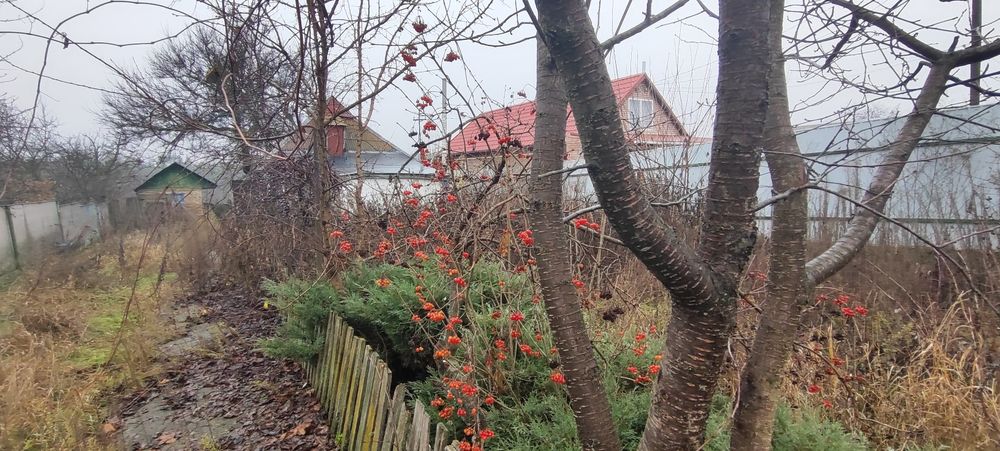 Будинок – Кагарлик - Вид 5