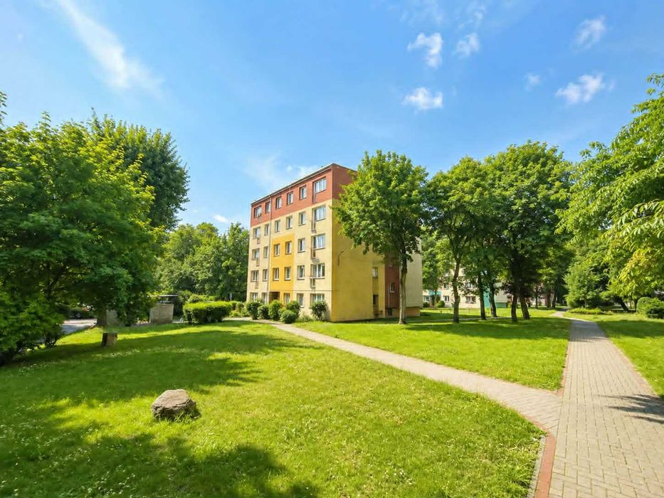Zdjęcie 8