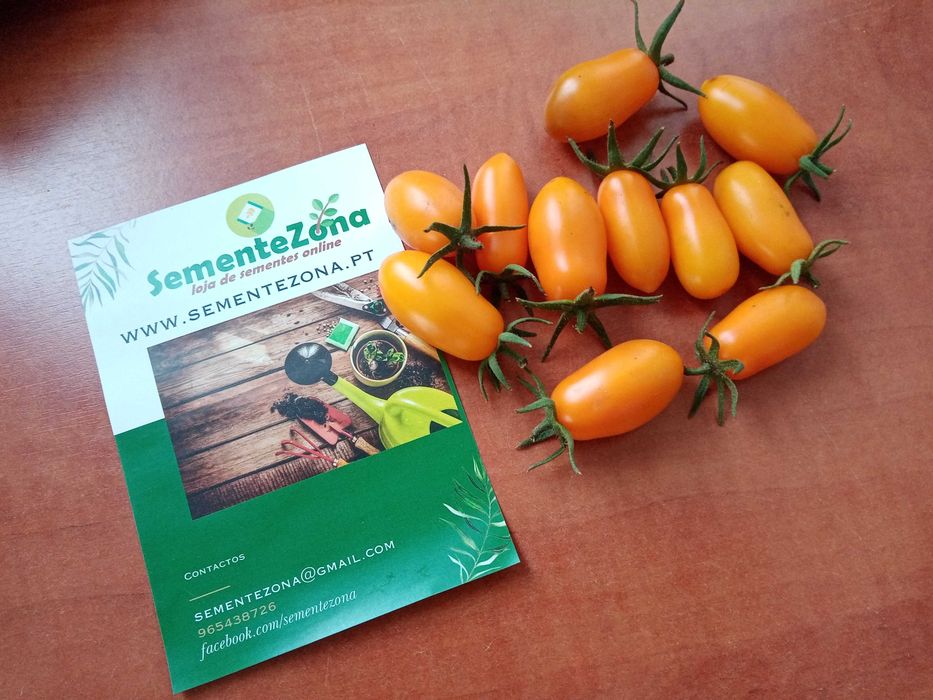 16 variedades de sementes de Tomates à escolha - faça o seu kit