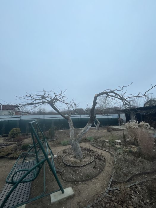 Професійна обрізка сада