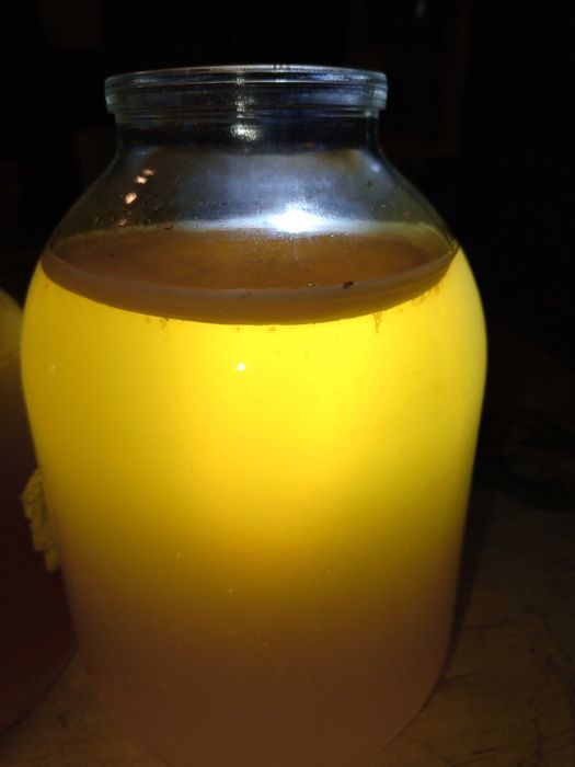 Уксусная матка из яблочного уксуса.