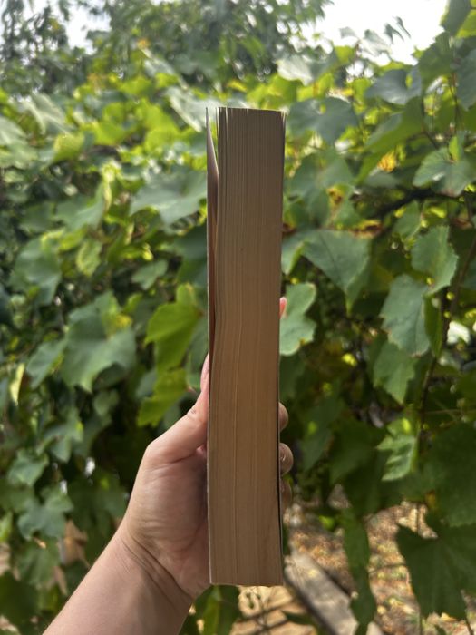 Книга Нікколо Макіавеллі – Державець (Государь)