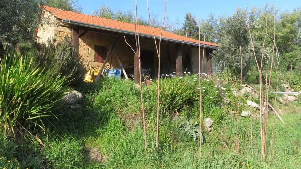 VENDA Quinta de 1,4 ha com casa de Arrumos em Vale de Prazeres, Portugal - 119.000€