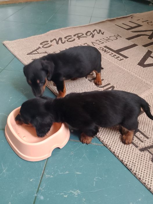 Такси 2 місяца...