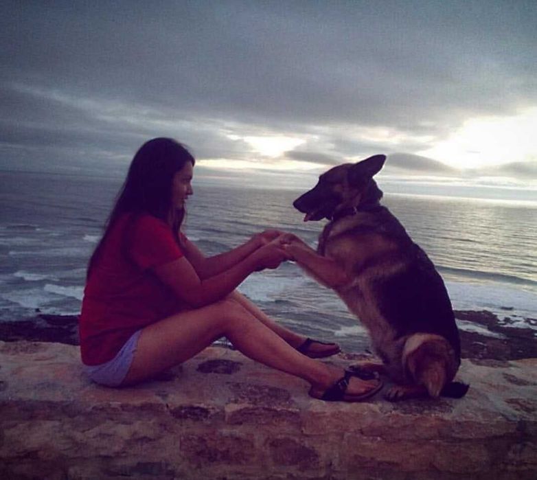 Pet Sitting Estádia Dog Hotel Barreiro— Hospedagem e Passeios