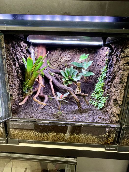 Terrarium 45x45x45