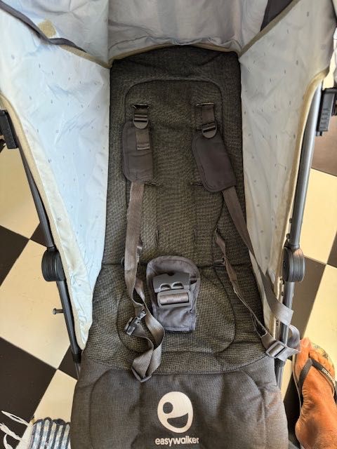 Easy Walker Cane64741241032067126