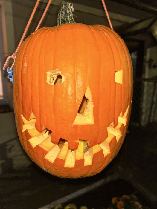 Dynia na Halloween!