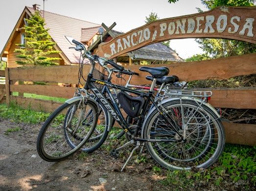 Dom na Mazurach 12 os. • Jezioro, plaża, pies OK