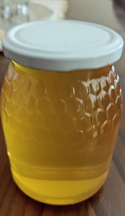 Mel biológico rosmaninho