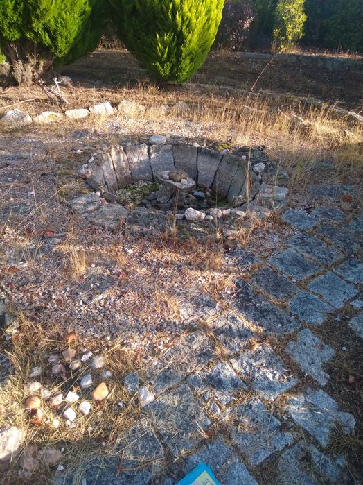 Jardinagem, podas e limpeza de terrenos