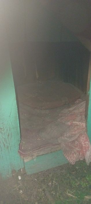 Buda dla psa  urzywana ocieplona steropianem