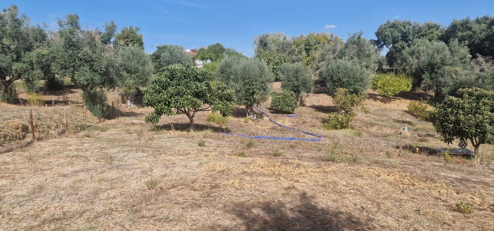 T2 em TOMAR, com Terreno a 1, 5km Centro da cidade.