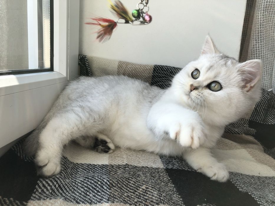 Кришталь