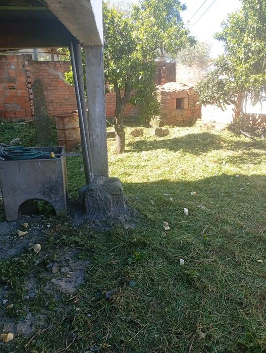 Arrendo moradia em Juncal do Campo