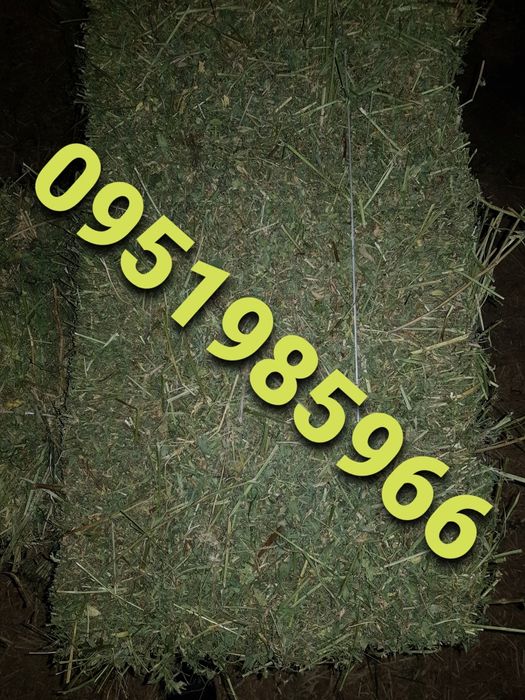 ДОСТАВКА ОТ 1 ШТ  сено сіно в тюках мешках (люцерны и др). По наличию.