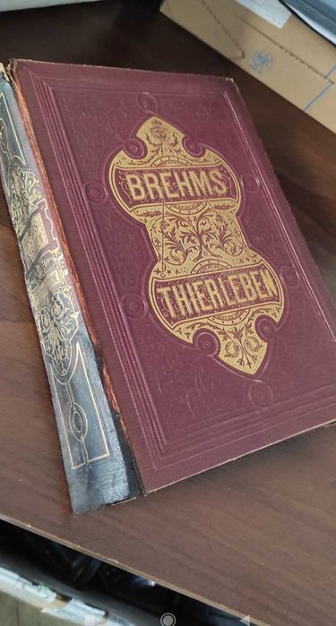 Stara niemiecka książka z 1878 r Brehms Thierleben